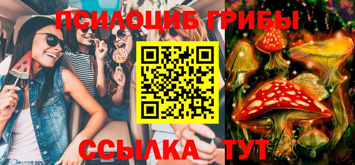 Новотроицк  Галлюциногенные грибы GOLDEN TEACHER  Псилоцибиновые грибы Psilocybine cubensis  Вход с VPN 